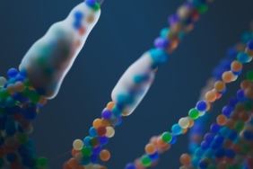 DNA'nın kökenleri üzerine Teksas A&M Üniversitesi'nden önemli çalışma